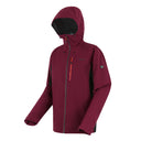 Birhdale II Dark Maroon Black